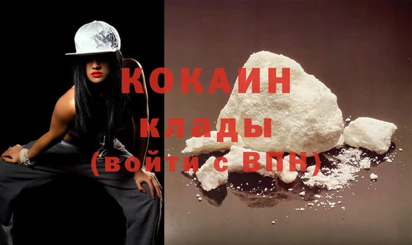 гидра Белокуриха