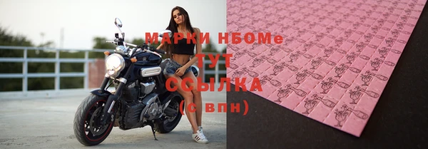 гидра Белокуриха