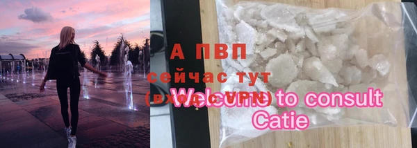 гидра Белокуриха