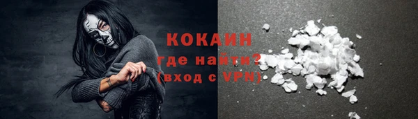 гидра Белокуриха