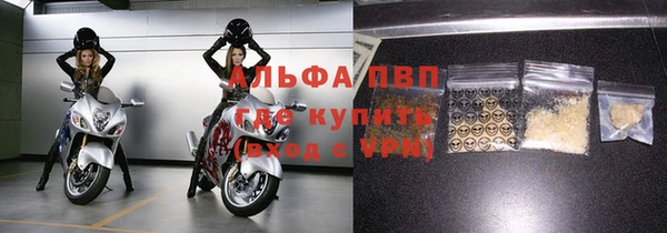 гидра Белокуриха