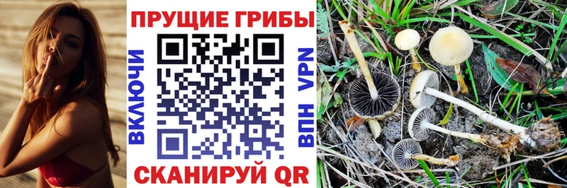 omg как войти Гулькевичи Галлюциногенные грибы прущие грибы